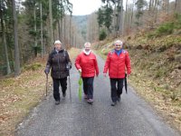 6  Saverne LE WASSERWALD 05 03 2017 08